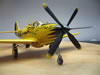 Hasegawa 1/48 scale P-39 Racer Cobra II by Pat Donohue: Image