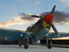 Hasegawa 1/32 P-40F Kittyhawk by Paul Coudeyrette: Image