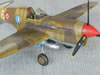 Hasegawa 1/32 P-40F Kittyhawk by Paul Coudeyrette: Image