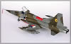 Kinetic 1/48 scale F-5A by Matthias Becker: Image