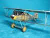 Wingnut Wings 1/32 Albatros D.V by Frank Dargies: Image