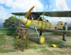 Wingnut Wings 1/32 Albatros D.V by Frank Dargies: Image