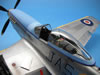 Tamiya 1/32 Mustang Mk.IVA by Ed Kinney: Image