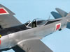 Tamiya 1/48 P-47D Thunderbolt by Tolga Ulgur: Image