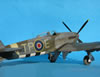 Hasegawa 1/48 Hawker Typhoon Mk.Ib by Tolga Ulgur: Image