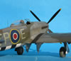 Hasegawa 1/48 Hawker Typhoon Mk.Ib by Tolga Ulgur: Image