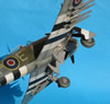 Hasegawa 1/48 Hawker Typhoon Mk.Ib by Tolga Ulgur: Image