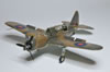 Special Hobby Brewster Bermuda by Remi Schackmann: Image