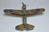 Special Hobby Brewster Bermuda by Remi Schackmann: Image