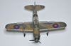 Special Hobby Brewster Bermuda by Remi Schackmann: Image