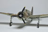 Special Hobby Brewster Bermuda by Remi Schackmann: Image