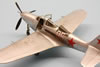 Eduard 1/48 scale P-39 Airacobra by Roland Sachsenhofer: Image