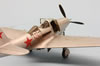 Eduard 1/48 scale P-39 Airacobra by Roland Sachsenhofer: Image