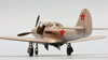 Eduard 1/48 scale P-39 Airacobra by Roland Sachsenhofer: Image