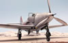 Eduard 1/48 scale P-39 Airacobra by Roland Sachsenhofer: Image