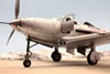 Eduard 1/48 scale P-39 Airacobra by Roland Sachsenhofer: Image