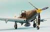 Eduard 1/48 P-39Q Airacobra by Roland Sacshenhofer: Image