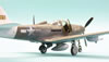 Eduard 1/48 P-39Q Airacobra by Roland Sacshenhofer: Image