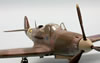 Eduard 1/48 scale Airacobra Mk.I by Roland Sachsenhofer: Image