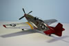 Tamiya 1/32 scale P-51D Mustang by Estaban Murador: Image