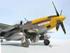 Tamiya 1/32 scale P-51D Mustang by Tolga Ulgur: Image