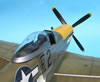 Tamiya 1/32 scale P-51D Mustang by Tolga Ulgur: Image