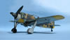 Hasegawa 1/32 Fw 190 A-5 by Tolga Ulgur: Image