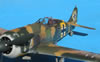 Hasegawa 1/32 Fw 190 A-5 by Tolga Ulgur: Image