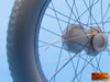 Scale Spokes Preview: Image