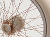 Scale Spokes Preview: Image