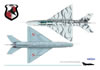 Air Connection Detail & Color Series MiG-21UM Book Preview: Image