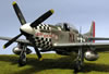 Tamiya 1/32 scale P-51D Mustang: Image