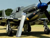 Tamiya 1/32 P-51D Mustang by Jumpei Temma: Image