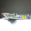 Tamiya 1/32 Spitfire XVIe by Maurizio Castro: Image