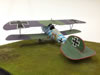 Wingnut Wings' 1/32 scale Albatros D.V by Gary Lindsell: Image