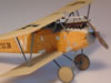 Eduard 1/48 Albatros D.III Oeffag by Roger Hardy: Image