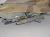 Hasegawa _ Isracast F-15I Ra'am: Image