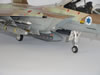 Hasegawa _ Isracast F-15I Ra'am: Image