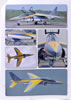 Wingman Dornier Alpha Jet - Luftwaffe Anniversary Birds Review by Mick Evans: Image