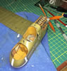 Wingnut Wings 1/32 Fe.2b Late Version by Brad Fallen: Image