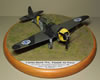 Hobbycraft 1/48 P-36 Hawk by Reidar Berg: Image