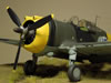 Hobbycraft 1/48 P-36 Hawk by Reidar Berg: Image