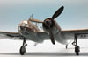 Hobby Boss 1/48 scale Bv 141 by Roland Sachsenhofer: Image