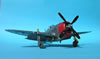 Tamiya 1/48 P-47D by Tolga Ulgar: Image