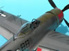 Tamiya 1/48 P-47D by Tolga Ulgar: Image