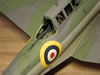 Special Hobby 1/48 Blackburn Skua by Reidar Berg: Image