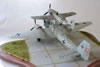 AIMS Models' 1/32 Mistel 2 Conversion by John Mcillmurray: Image