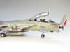 Eduard 1/48 "Danger Zone" F-14A Tomcat by Steve Pritchard: Image