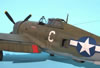 Tamiya 1/48 P-47D Thunderbolt Razorback by Tolga Ulgar: Image