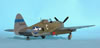 Tamiya 1/48 P-47D Thunderbolt Razorback by Tolga Ulgar: Image